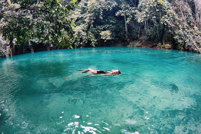 Cebu: Oslob Whale Shark Swimming and Kawasan Falls Canyoneering - GoPro Rental, Zipline Add-On, and Photo Strategy