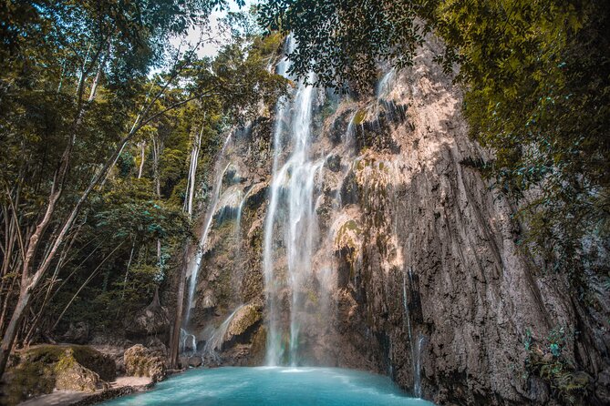 Cebu Whale Shark Encounter, Moalboal Sardines & Tumalog Falls - Tumalog Falls: a photo break that actually refreshes