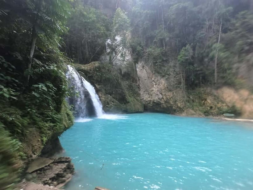 Cebu: Whale Sharks, Kawasan Falls, & Sardines Run Snorkeling - Why This Cebu Whale Sharks + Kawasan + Sardines Day Makes Sense