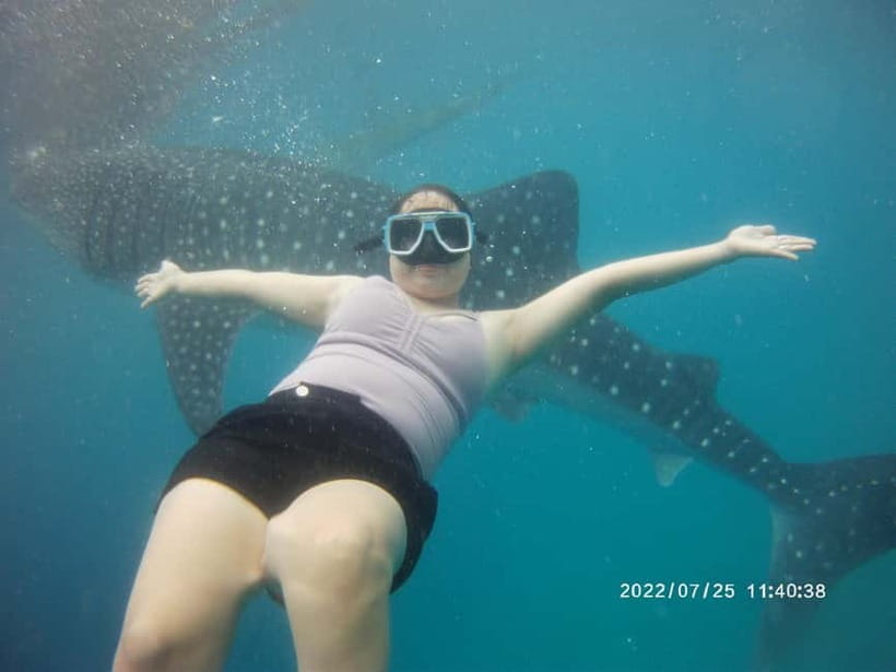 Cebu: Whale Sharks, Kawasan Falls, & Sardines Run Snorkeling - Kawasan Falls: Trek In, Swim Out, and Multiple Cascades to Break Up the Heat