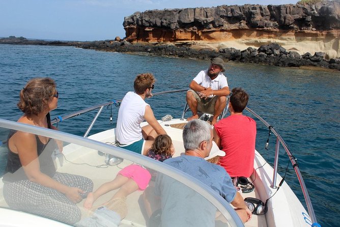 Costa Adeje | Cetacean sighting in Tenerife South - Key highlights worth circling