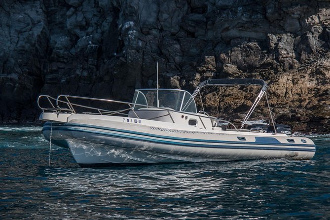 Costa Adeje | Cetacean sighting in Tenerife South - Conservation in action: engines off, distance respected