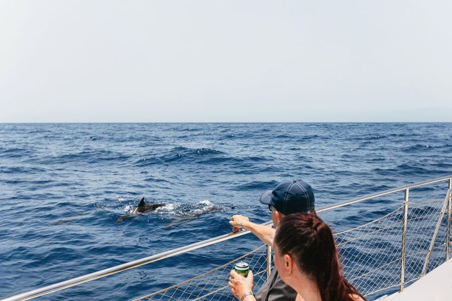 Costa Adeje: Whale Watching Catamaran Tour with Drinks - Why this catamaran from Puerto Colón feels so focused
