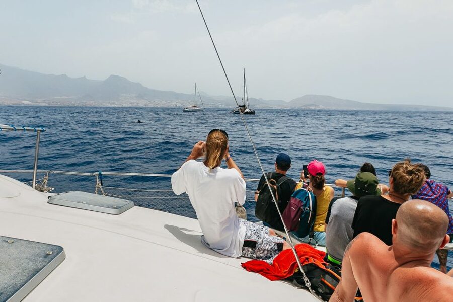 Costa Adeje: Whale Watching Catamaran Tour with Drinks - Playa Espagueti snorkeling: short stop, real payoff, and one catch