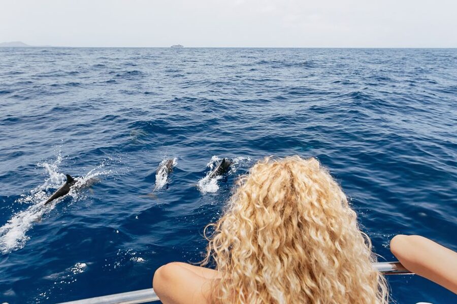 Costa Adeje: Whale Watching Catamaran Tour with Drinks - Sea conditions and motion sickness: what to do before you regret it