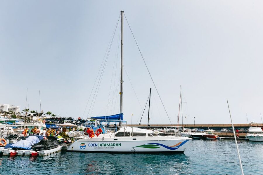 Costa Adeje: Whale Watching Catamaran Tour with Drinks - Practical notes that make a difference on the day