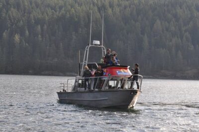 Covered Boat Whale Watching 4-Hour Tour from Campbell River - What You’ll Actually Do on the Water