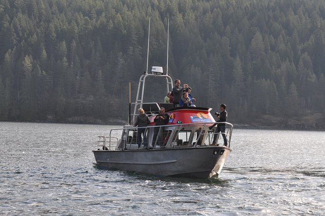 Covered Boat Whale Watching 4-Hour Tour from Campbell River - What You’ll Actually Do on the Water