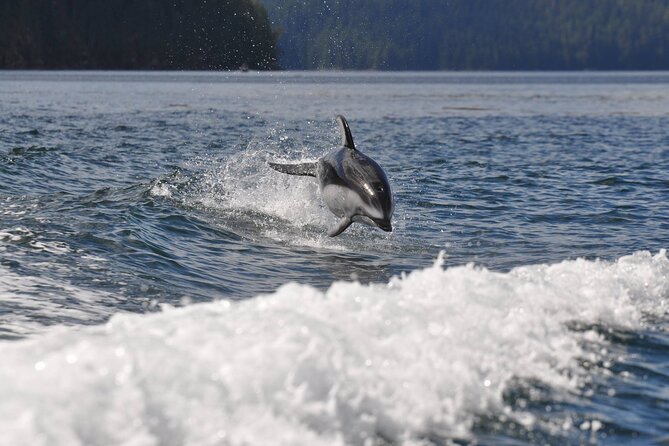Covered Boat Whale Watching 6-Hour Tour from Campbell River - Duration, Timing, and How to Plan Your Day