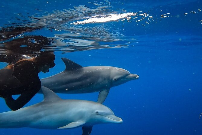 Day Trip to Ponta de Ouro Beach /Dolphin Swim+Snorkel+Whale Watch - Maputo Special Reserve: A Short Wildlife Hit With Free Admission