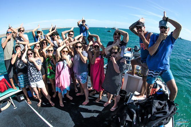 Deluxe Mega Fauna Humpback or Whaleshark Swim Ningaloo Reef - Key highlights worth knowing before you go