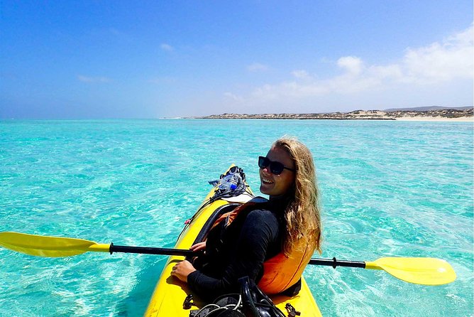 Deluxe Mega Fauna Humpback or Whaleshark Swim Ningaloo Reef - Snorkel gear and what’s included (so you can pack smart)