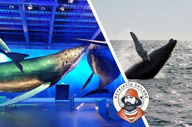 Deluxe Whale Watching and Whales of Iceland Exhibition Combo from Reykjavik - Who should book this combo, and who might prefer something else