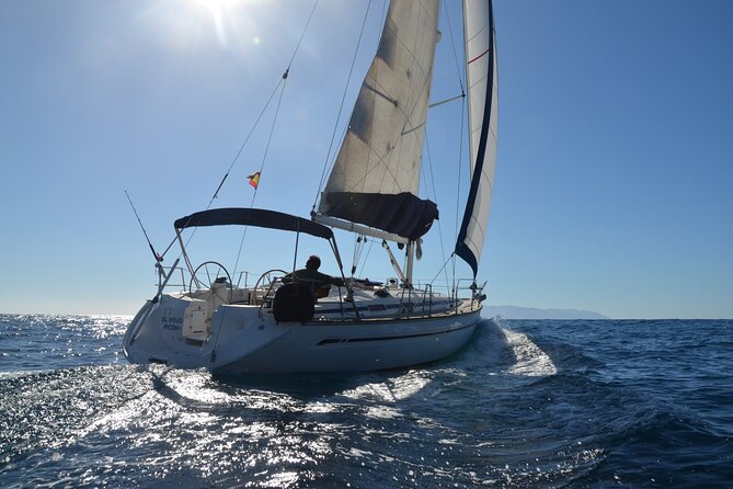 Dolphin and Whale Sailing Tour in Los Gigantes - Key Highlights at a Glance