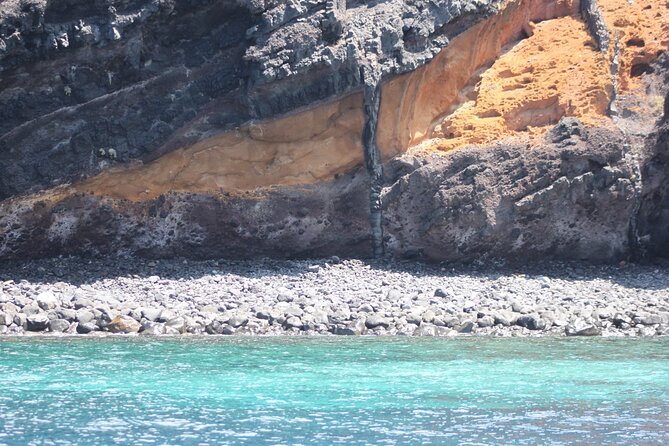 Dolphin and Whale Sailing Tour in Los Gigantes - Meeting Point at MPC Yacht Charter: Arrive Early to Beat the Hassle