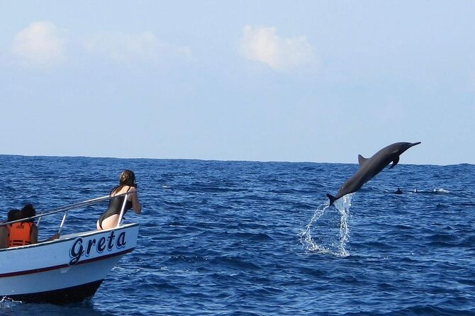 Dolphin and Whale Watching Boat Trip in Puerto Escondido - Key things that make this trip worth your morning