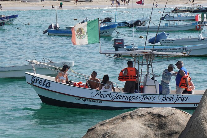 Dolphin and Whale Watching Boat Trip in Puerto Escondido - Wildlife on the water: dolphins, turtles, rays, and possible humpbacks
