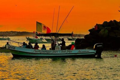 Dolphin and Whale Watching Boat Trip in Puerto Escondido - The 7:00am start: why it matters on this kind of trip