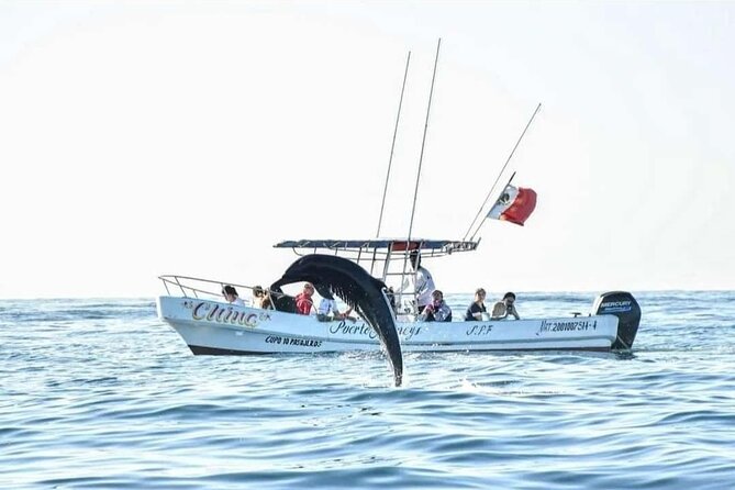 Dolphin and Whale Watching Boat Trip in Puerto Escondido - Getting picked up: front-door convenience and near-public-transit access