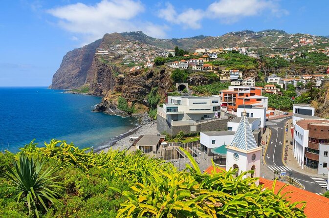 Dolphin and Whale Watching Catamaran Cruise from Funchal - Quick hits: what’s especially good here