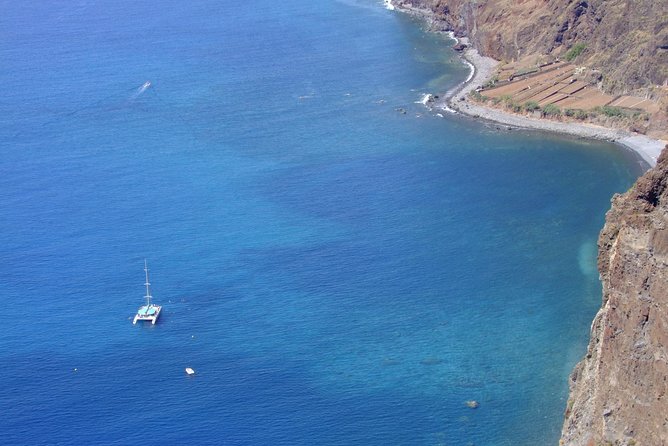 Dolphin and Whale Watching Catamaran Cruise from Funchal - Crowds and deck reality: what to expect with a max of 180