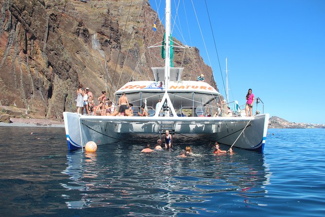 Dolphin and Whale Watching Catamaran Cruise from Funchal - Who should book this Madeira catamaran cruise