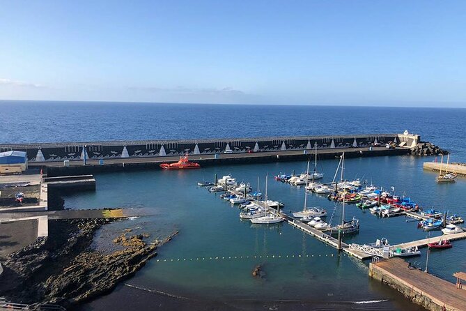 Dolphin and Whale Watching in La Restinga - Comfort and safety basics that actually help on the water