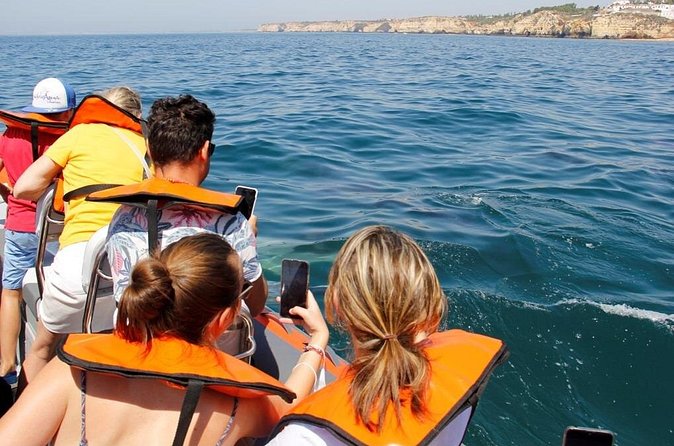 Dolphin and Whale Watching in Lagos - What you might see off Lagos: dolphins, porpoise, and Risso’s
