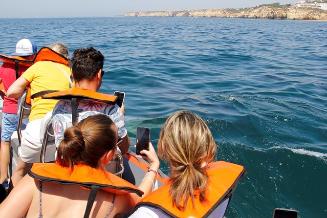 Dolphin and Whale Watching in Lagos - Who this is best for in Lagos (and who might skip it)