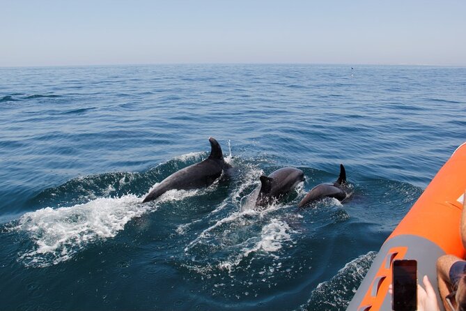 Dolphin and Whale Watching in Lagos - The RIB Aftermath boat ride: fast, comfortable, and not for couch potatoes
