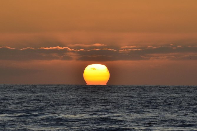 Dolphin and Whale Watching Sunset Cruise - Clothing and Comfort: Don’t Underpack for Windy Water