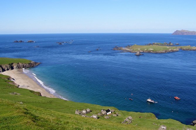Dolphin and Whale Watching Tour from Dingle - A small-group Atlantic cruise from Ventry Harbour