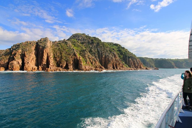 Dolphin & Whale Cruise - Tips for a smoother cruise when the sea decides to be choppy