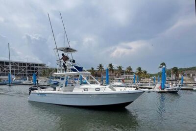 Dolphin & Whale Watching with Marine Biologists - Huatulco National Park: Why the First Main Area Is the Right Bet