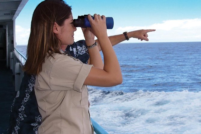 Early Bird Whale Watching Cruise from Waikiki - Boarding and timing: what your 2 hours really feel like