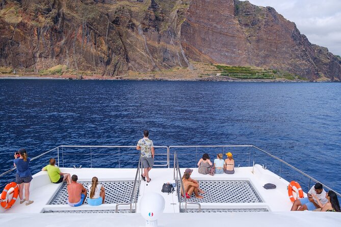 Eco-Friendly Catamaran Dolphin and Whale Watching - What You’re Booking: A Madeiran Wildlife Cruise on a Clean Eco Catamaran