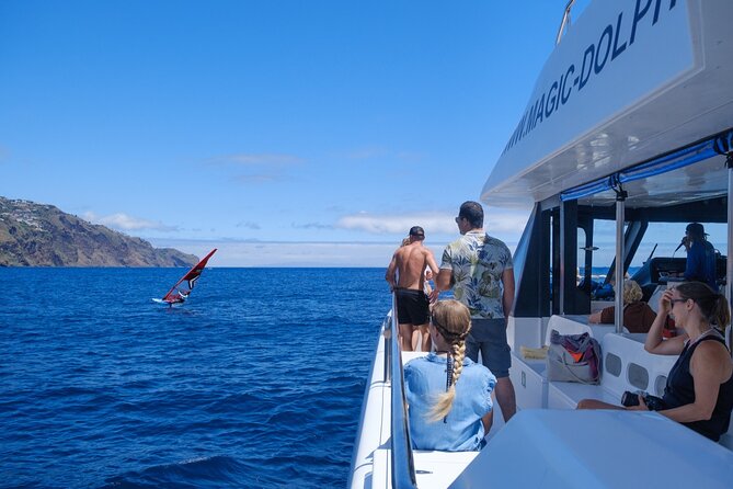 Eco-Friendly Catamaran Dolphin and Whale Watching - The South-Coast Cruising Portion: Cabo Girão, Camara de Lobos, and More