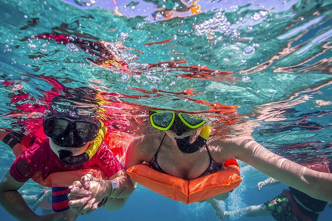 Eco Whale Shark Encounter - Who Should Book This Whale Shark Tour (and Who Should Think Twice)