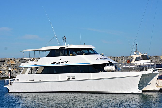 Educational Whale Watching Tour from Perth - Key things to know before you go