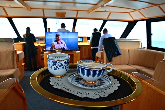 Educational Whale Watching Tour from Perth - Morning vs afternoon departures: how to choose based on conditions