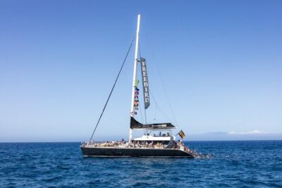 Exclusive Freebird Catamaran Whale & Dolphin to Masca From South - The Masca Bay swim: why the water stop matters