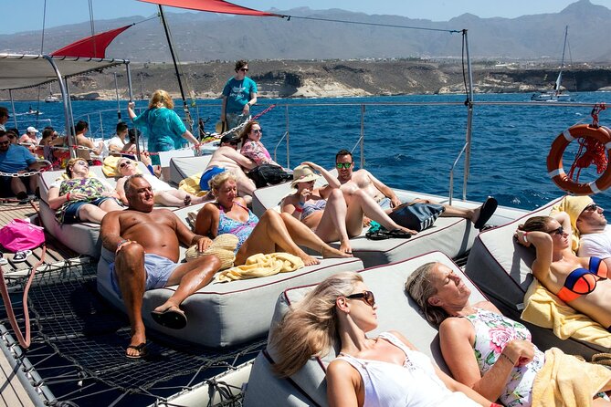 Exclusive Freebird Catamaran Whale & Dolphin to Masca From South - Price and value: what $70.98 buys you here