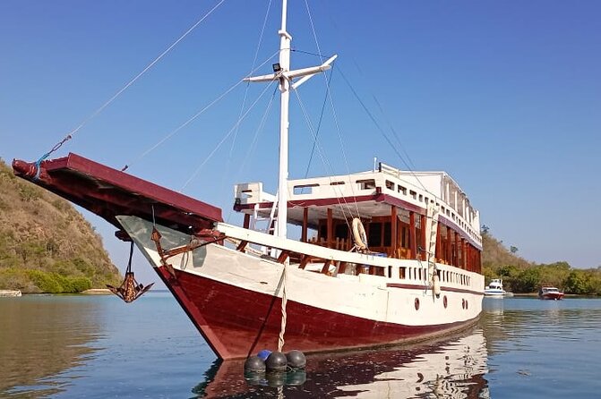Explore Komodo and Swim with Whale Sharks - Who should book this, and who should think twice