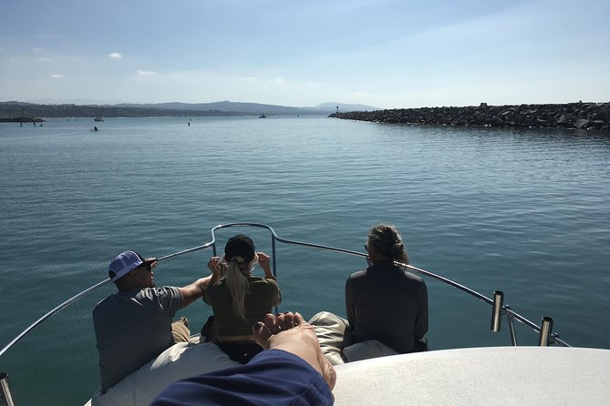 Family and Private Group Whale and Dolphin Watching - Why a small RIB tour from Dana Point works so well