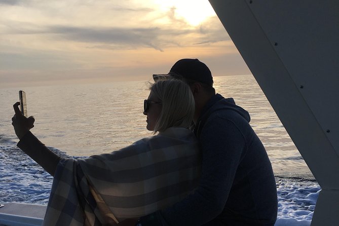 Family and Private Group Whale and Dolphin Watching - Marine life odds: dolphins most of the time, whales by season