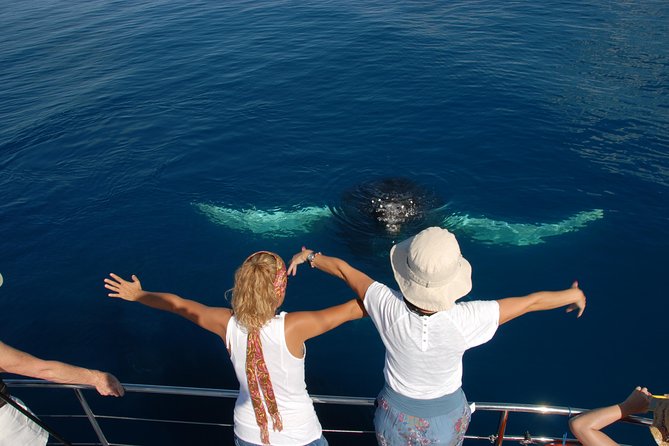 Fraser Island Whale Watch Encounter - K’gari (Fraser Island) during the trip: more than a stop on the map