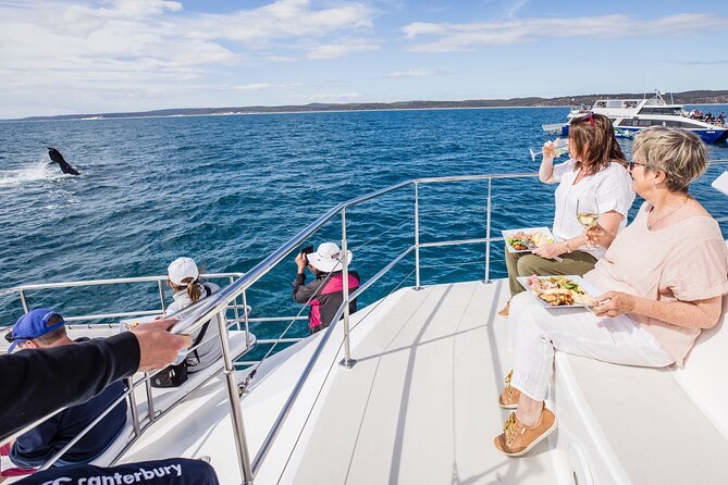 Freedom 3/4 Day Hervey Bay Premium Whale Watching Cruise - Key highlights at a glance
