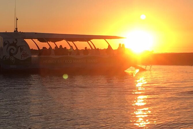 Freedom 3/4 Day Hervey Bay Premium Whale Watching Cruise - Who should book this cruise (and who might choose differently)