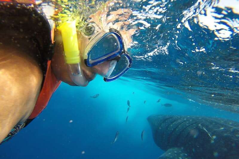 From Cancún: Half-Day Snorkeling with Whale Sharks - From your pickup to the boat: getting out past Cancun’s shoreline
