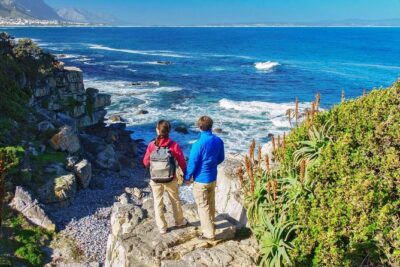 From Cape Town: Full Day Guided Hermanus and Whale Tour - Rotary Way: Where the Ocean and Hermanus Fit in One Shot